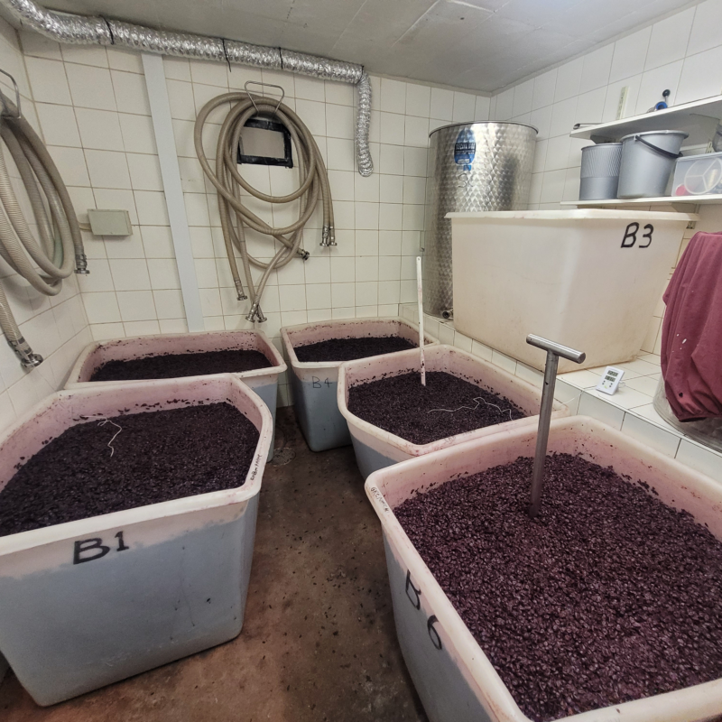 Small Scale Winemaking